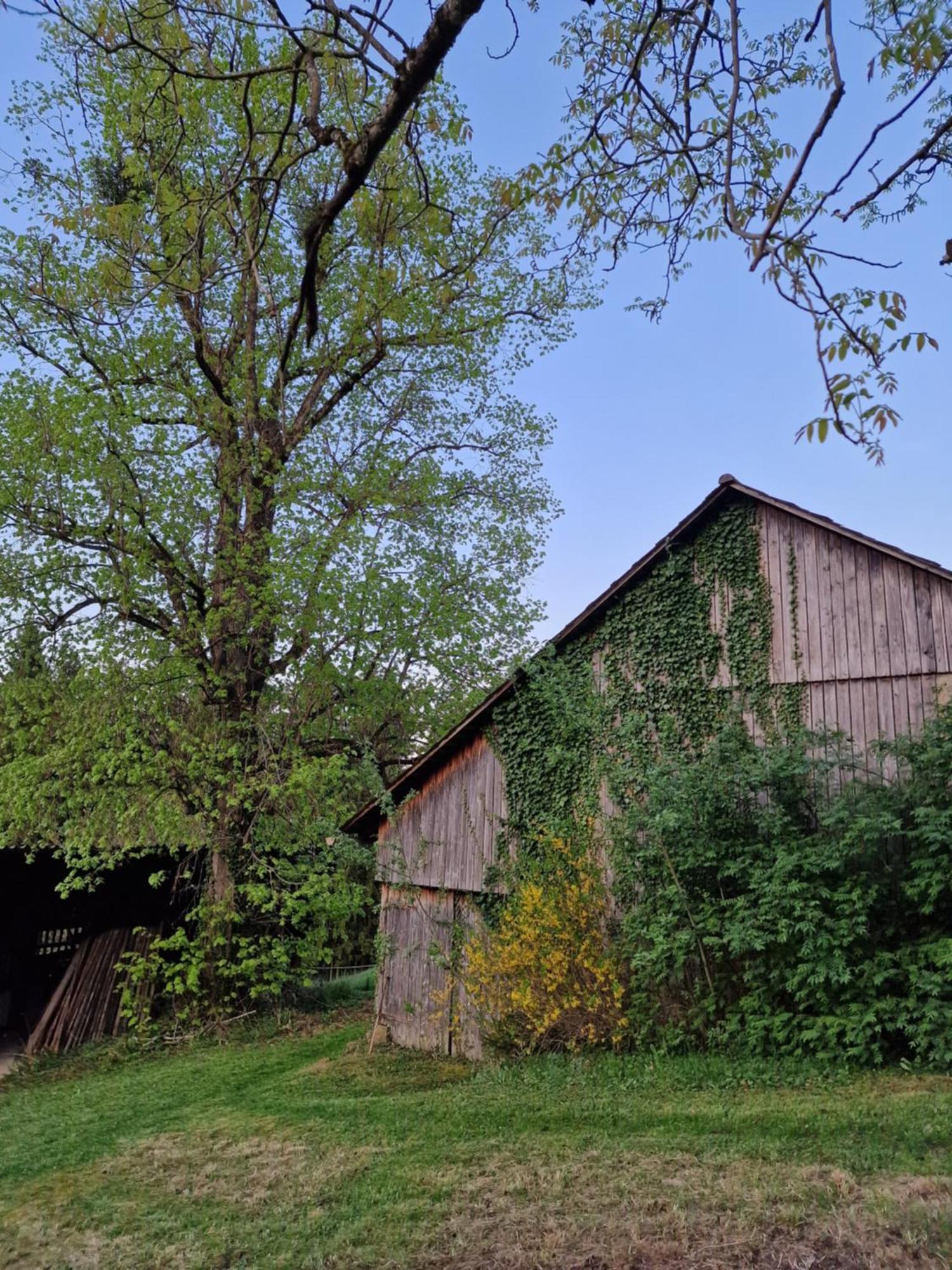 Natur- & Erlebnis Ferienhaus Voitsberg Exterior foto